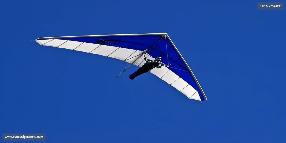 德甲联赛官网——🏓⚡速度与技巧,一拍即合!